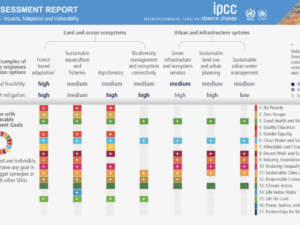 Laser Talk: The IPCC report on Impacts, Adaptation and Vulnerability