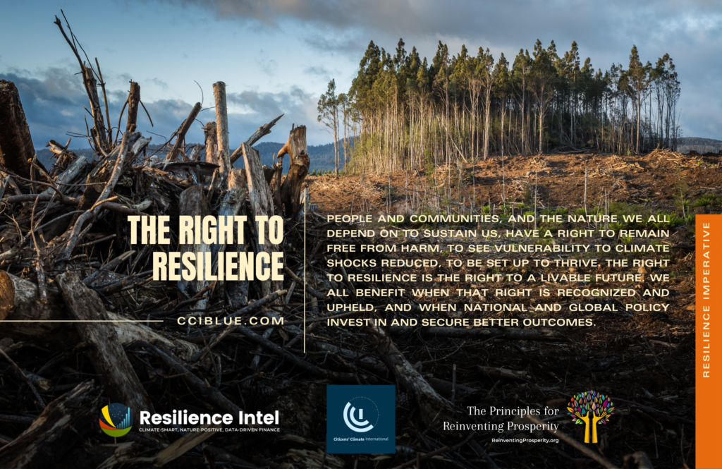 The Right to Resilience – Reinventing Prosperity 2023 – Citizens ...